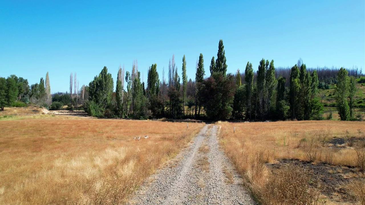 Espacio para caminar, con áreas verdes alrededor.
