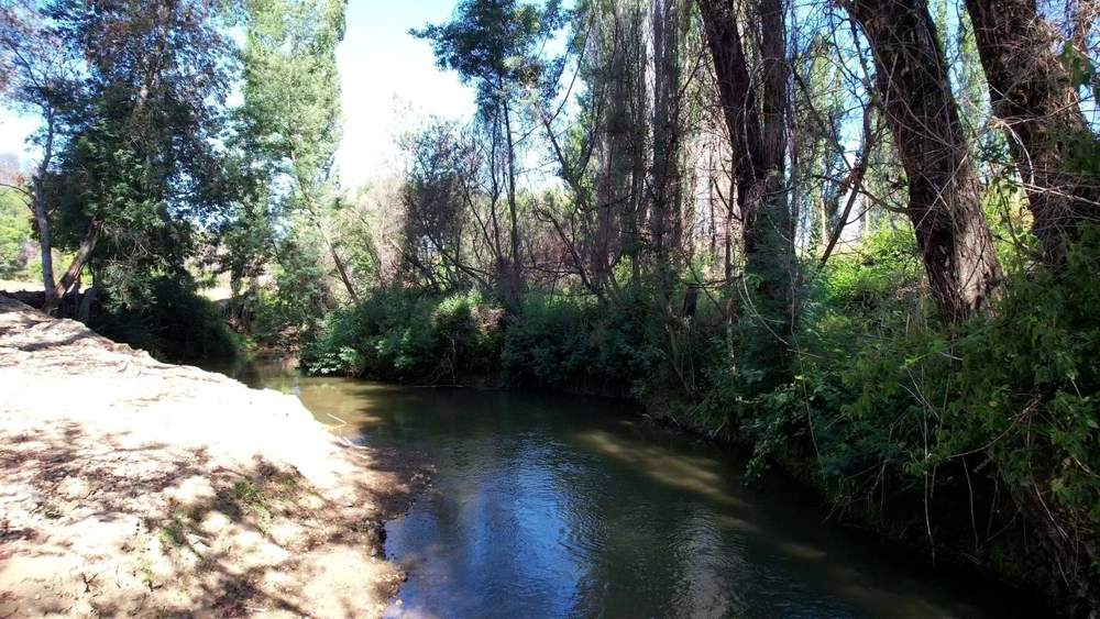 Orilla del río, con sombra de árboles.
