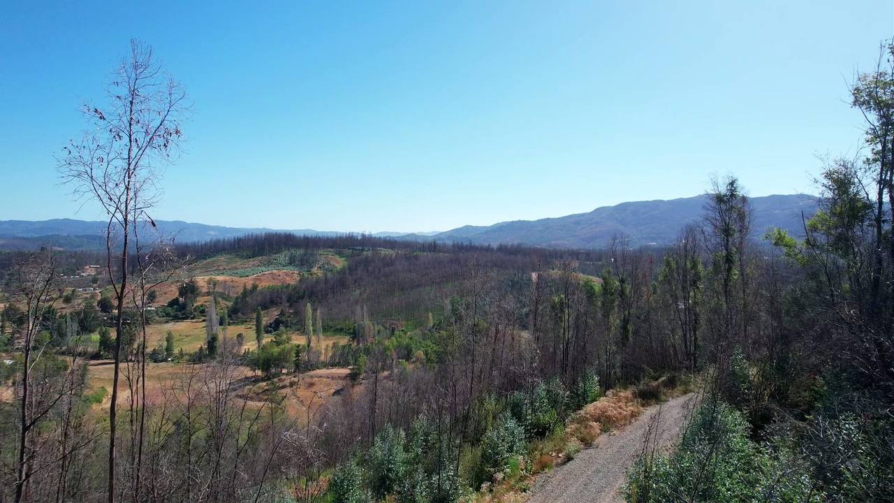 El valle desde el camino de acceso.