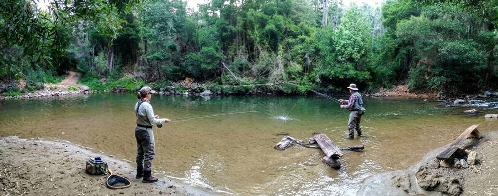 Dos personas pescando con mosca en un río rodeado de bosque