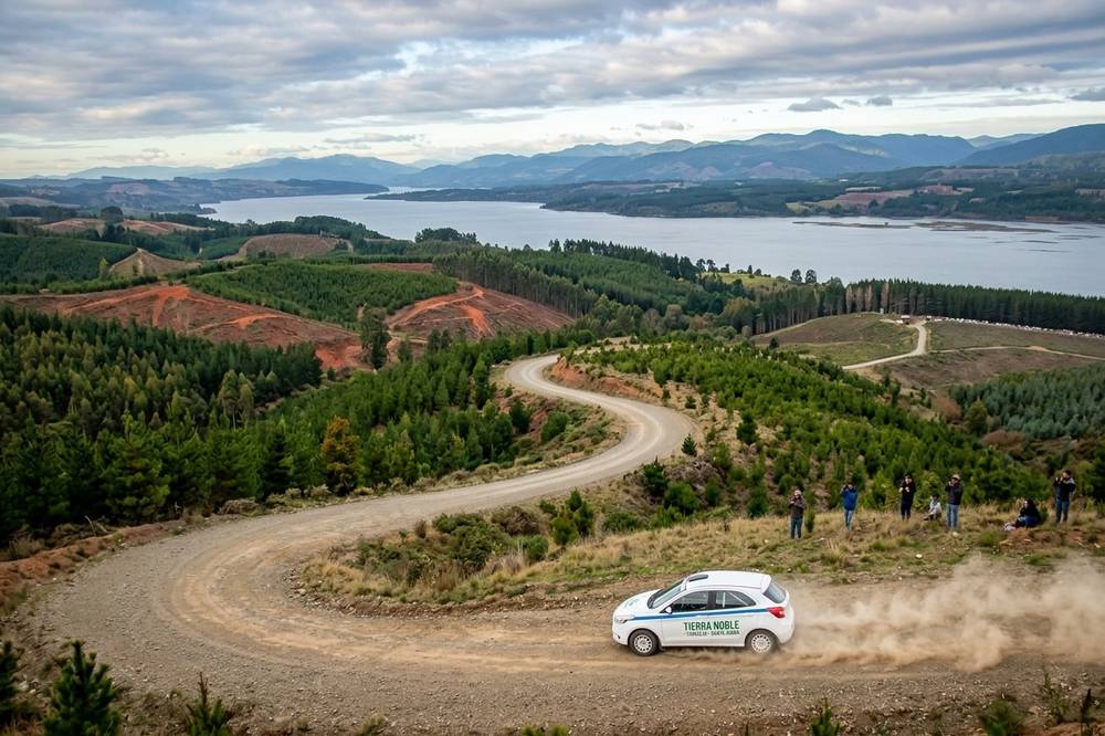 Ilustración de un auto de rally en un camino de ripio entre cerros con pinos y un lago al fondo