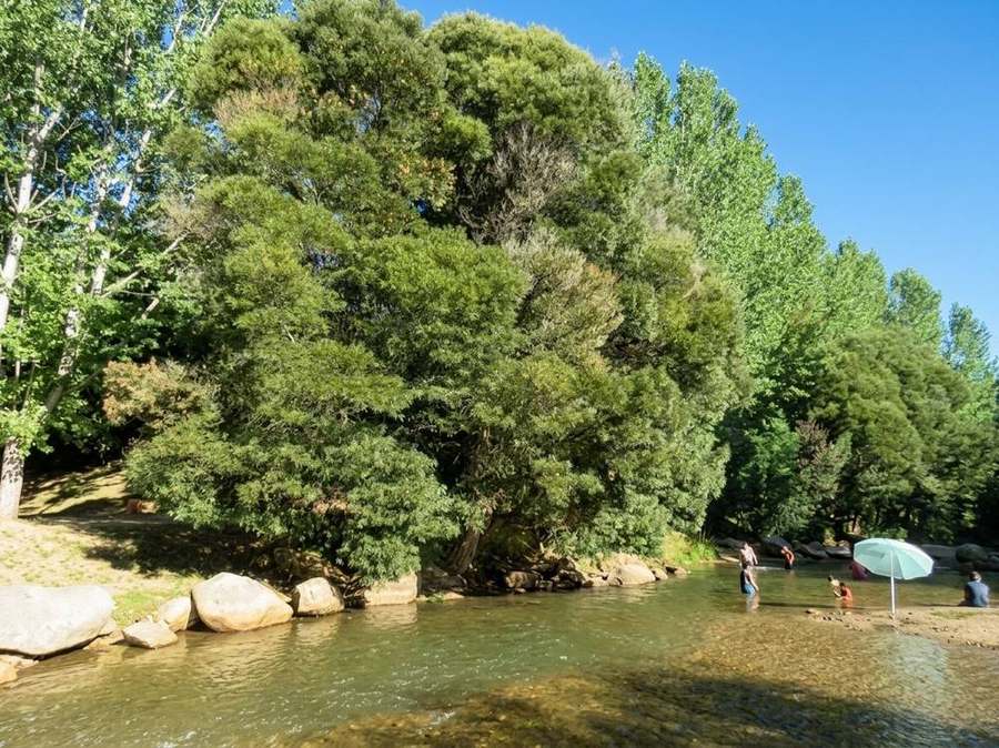 Personas en un río de aguas bajas entre grandes rocas y árboles